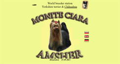 Desktop Screenshot of moniteciara.amsher.sk